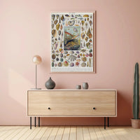 Mollusks of the Sea: Vintage Scientific Animal Poster PosterGoat