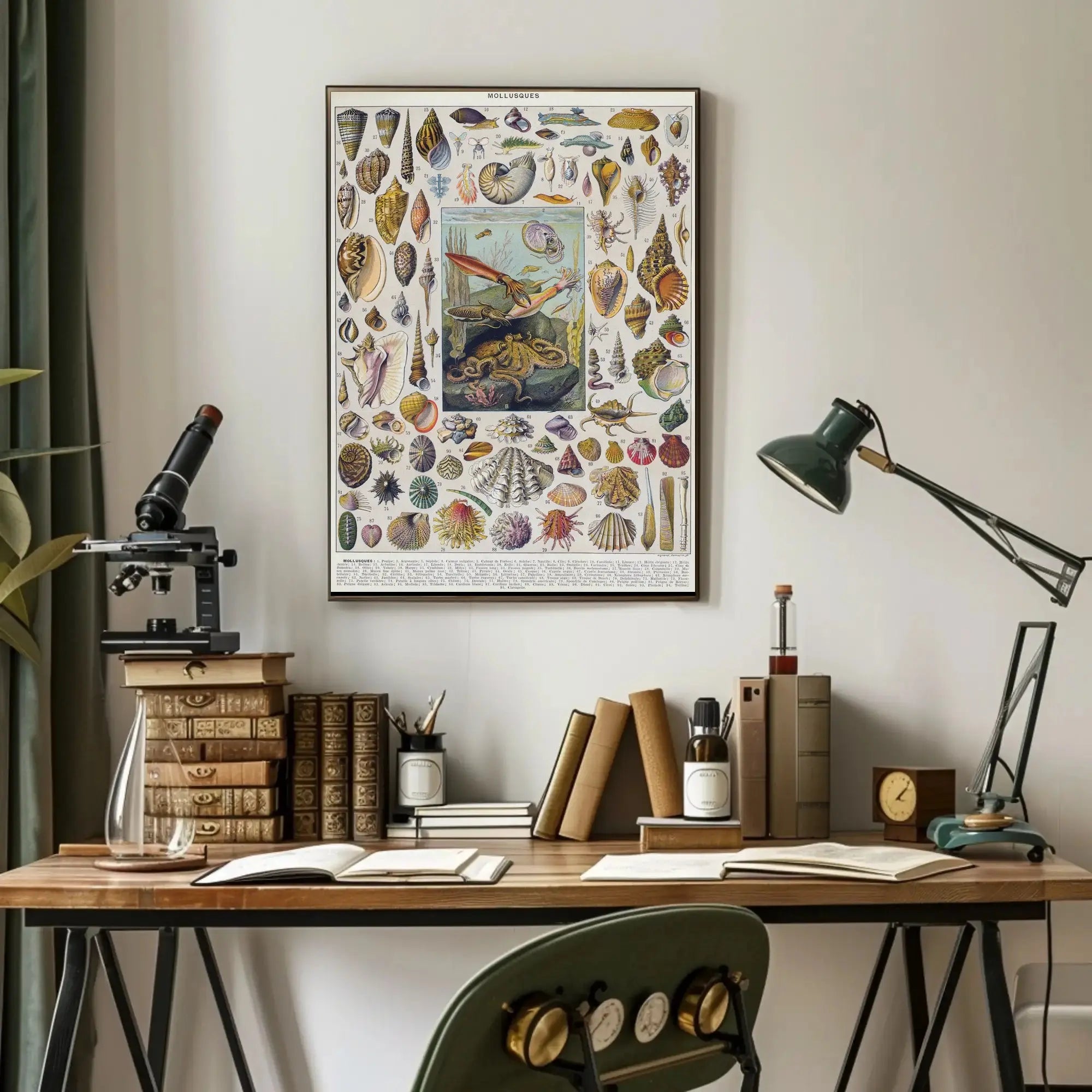 Mollusks of the Sea: Vintage Scientific Animal Poster PosterGoat