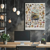 Mollusks of the Sea: Vintage Scientific Animal Poster PosterGoat