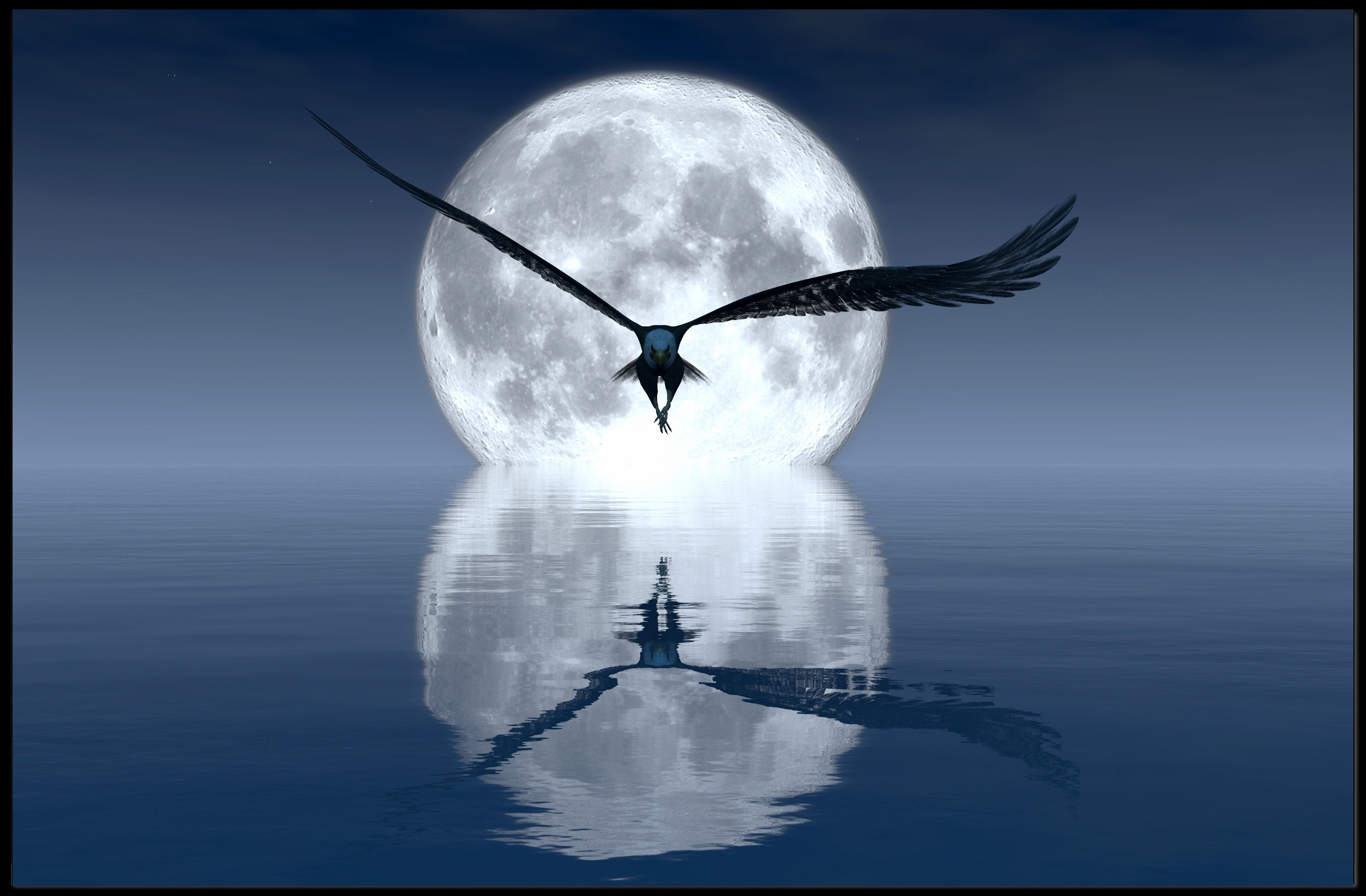 Moonlit Flight Over Majestic Landscape Animal Poster PosterGoat