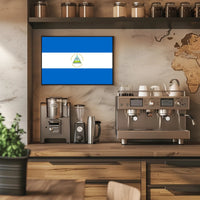Nicaraguan National Flag Representation Country Flag Poster PosterGoat