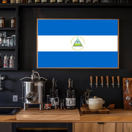 Nicaraguan National Flag Representation Country Flag Poster PosterGoat