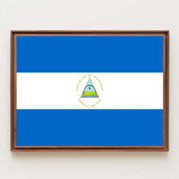 Nicaraguan National Flag Representation Country Flag Poster PosterGoat