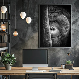 Orangutan Intrigue Photorealistic Black-and-White Animal Poster PosterGoat