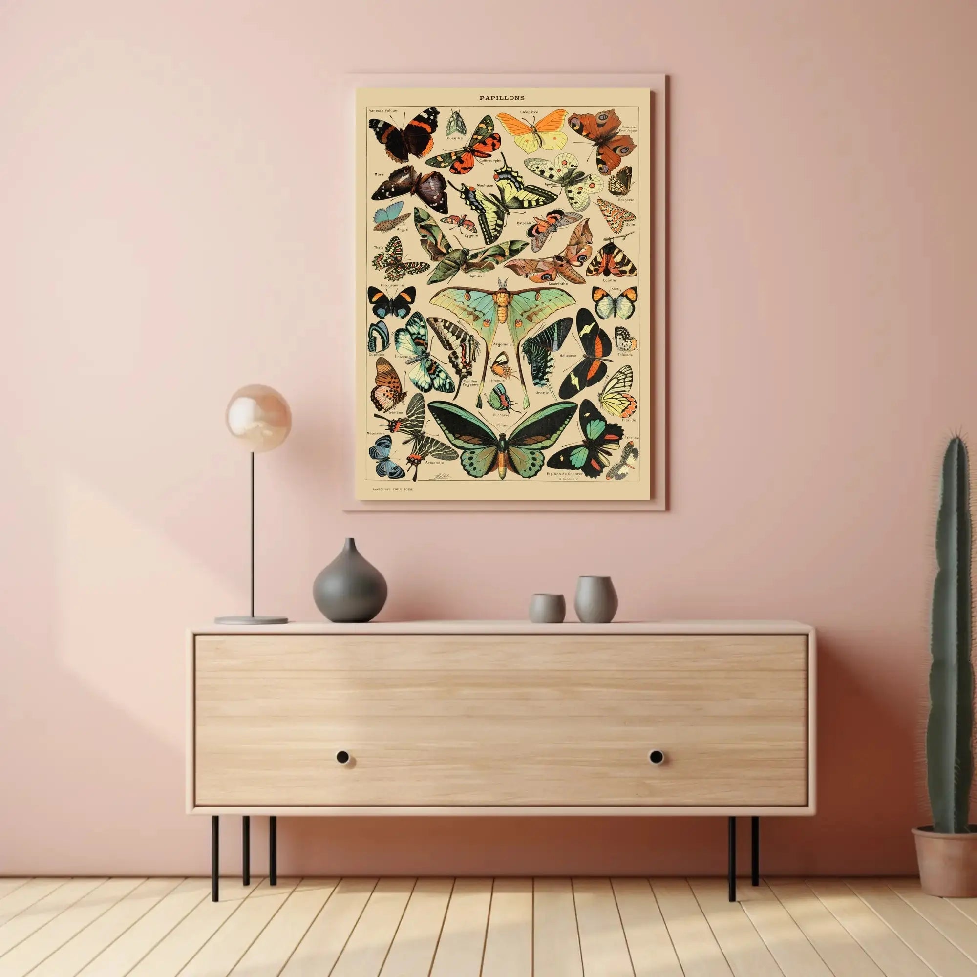 PAPILLONS Vintage Butterfly Illustration Art Print Animal Poster PosterGoat