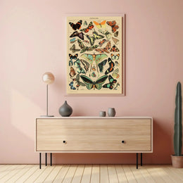 PAPILLONS Vintage Butterfly Illustration Art Print Animal Poster PosterGoat