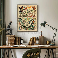 PAPILLONS Vintage Butterfly Illustration Art Print Animal Poster PosterGoat
