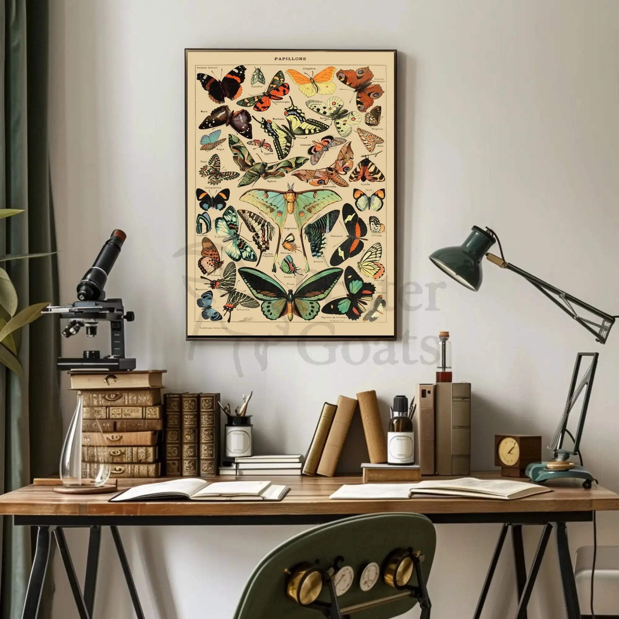 PAPILLONS Vintage Butterfly Illustration Art Print Animal Poster PosterGoat