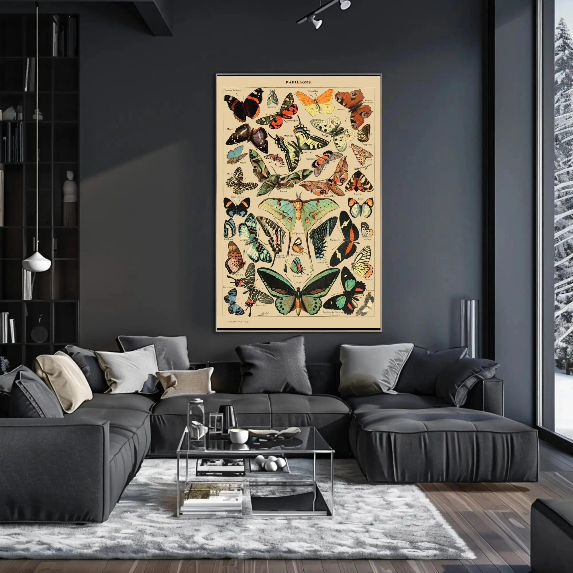 PAPILLONS Vintage Butterfly Illustration Art Print Animal Poster PosterGoat