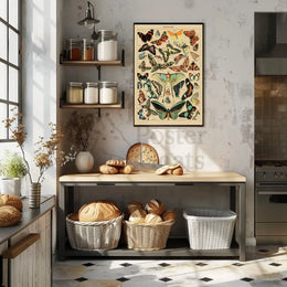 PAPILLONS Vintage Butterfly Illustration Art Print Animal Poster PosterGoat