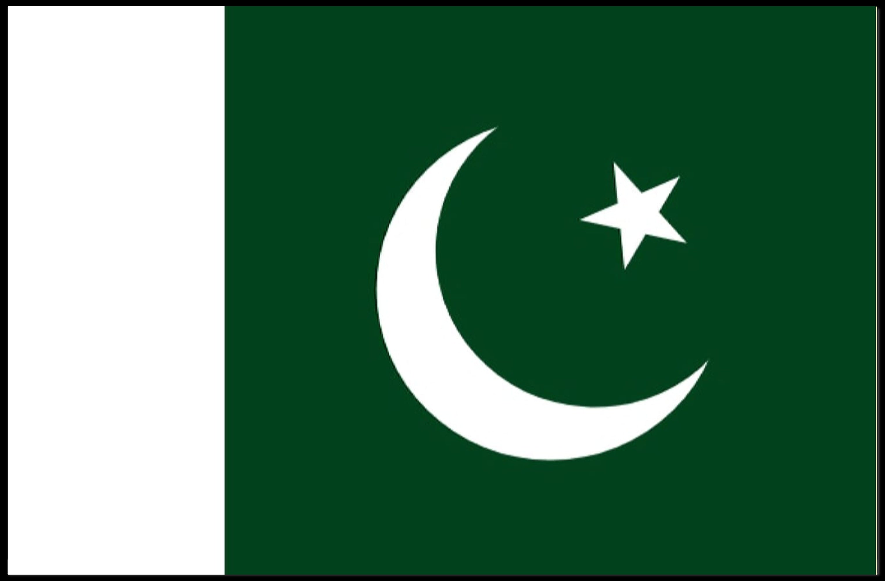 Pakistani Pride: Iconic Flag Representation Country Flag Poster PosterGoat
