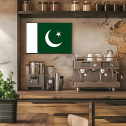 Pakistani Pride: Iconic Flag Representation Country Flag Poster PosterGoat