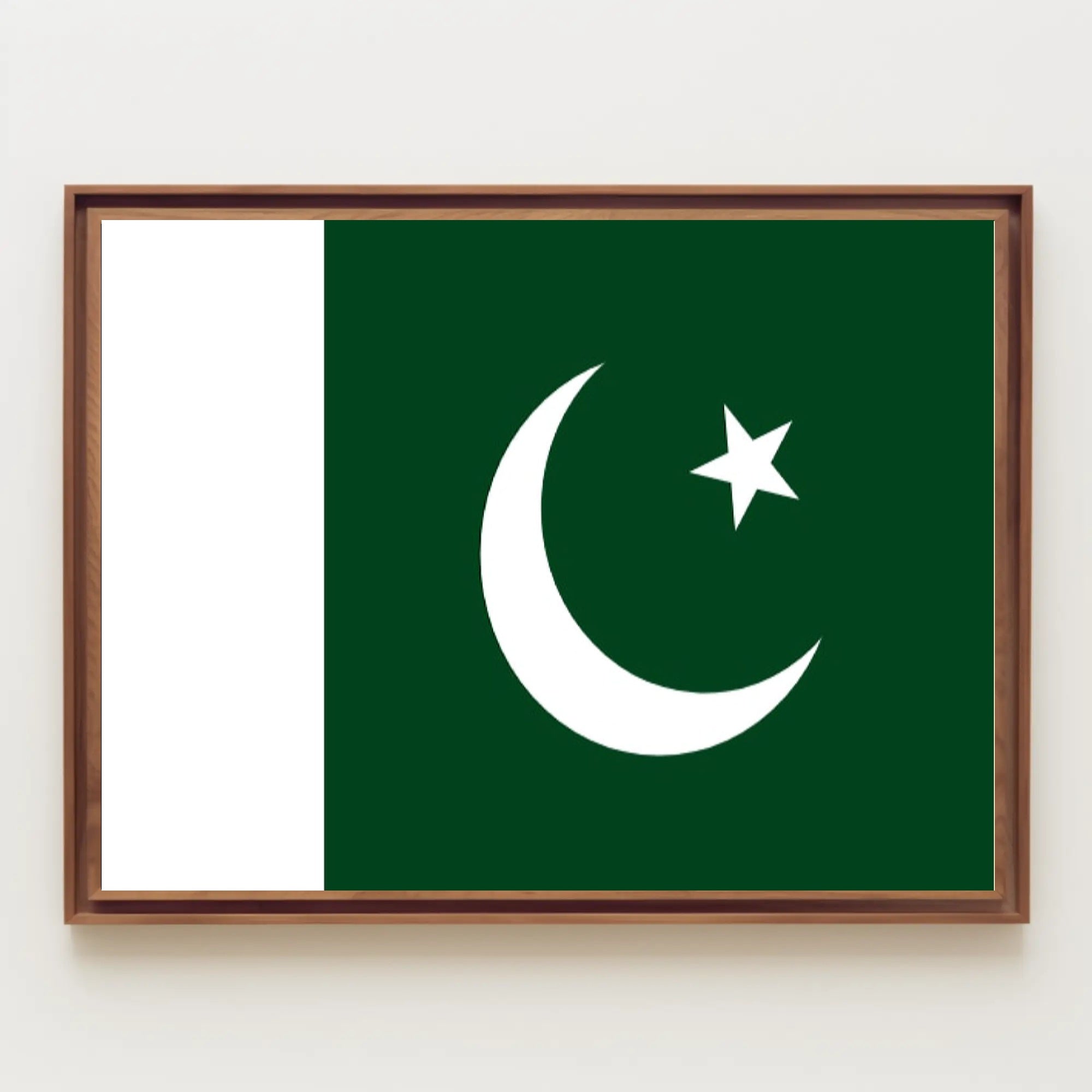 Pakistani Pride: Iconic Flag Representation Country Flag Poster PosterGoat