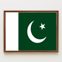 Pakistani Pride: Iconic Flag Representation Country Flag Poster PosterGoat