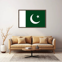 Pakistani Pride: Iconic Flag Representation Country Flag Poster PosterGoat