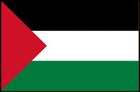 Palestine Flag Unity Art: Country Flag Poster PosterGoat