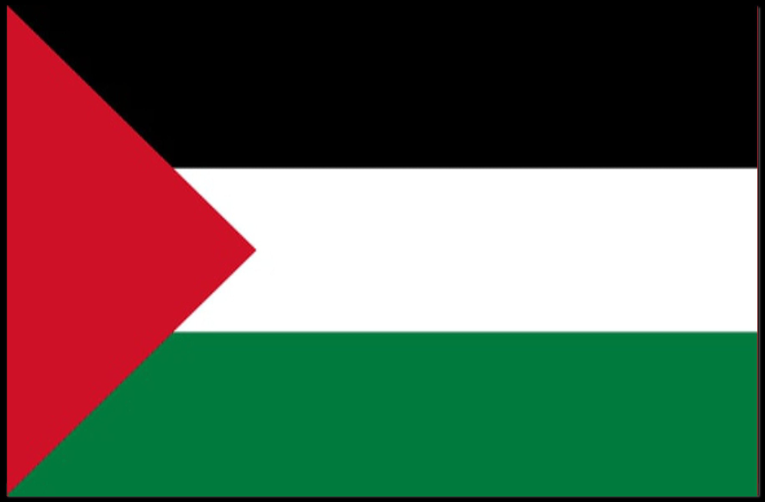 Palestine Flag Unity Art: Country Flag Poster PosterGoat