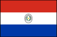 Paraguay Flag Emblem Artistry Country Flag Poster PosterGoat