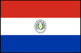 Paraguay Flag Emblem Artistry Country Flag Poster PosterGoat