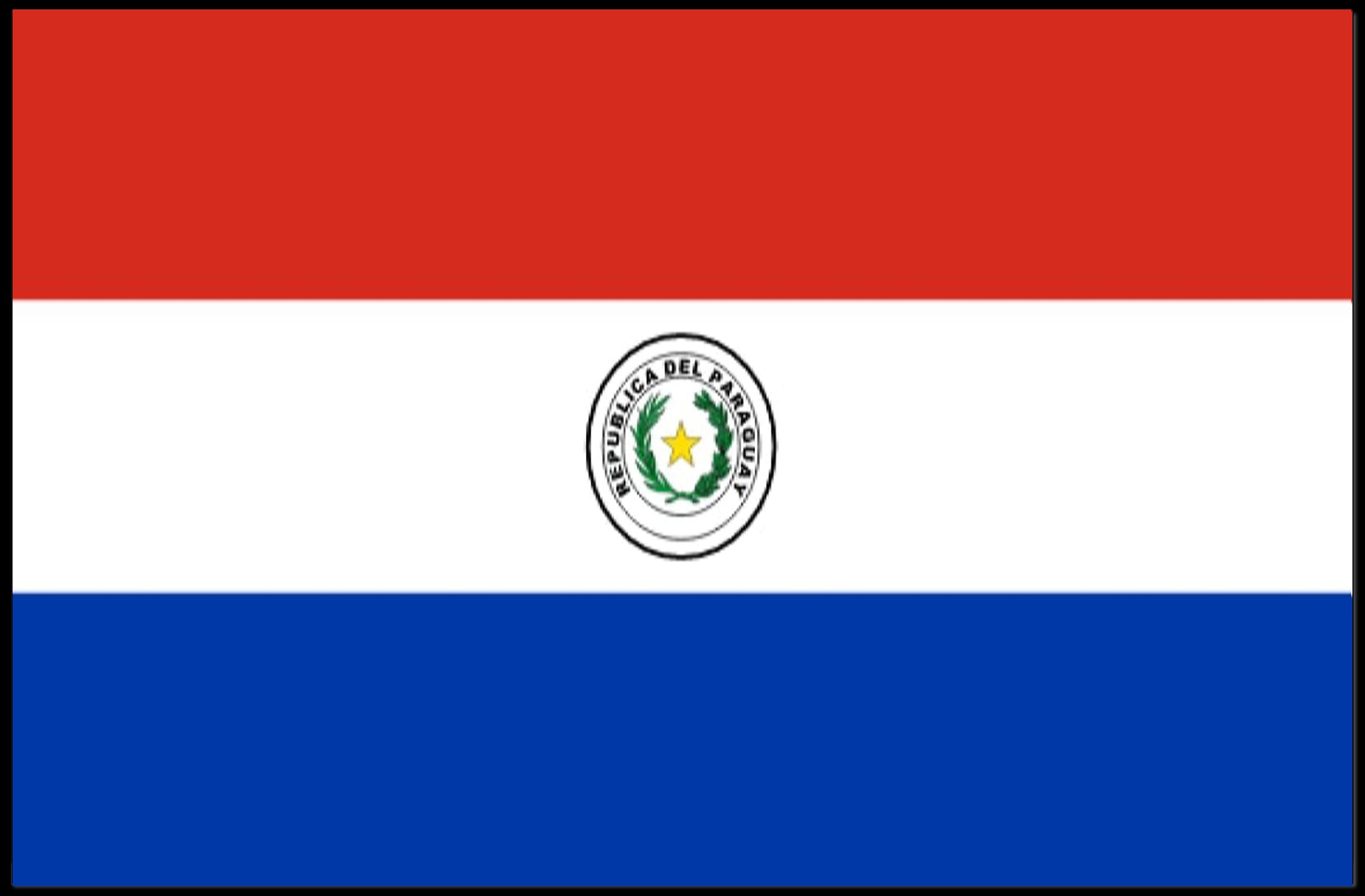 Paraguay Flag Emblem Artistry Country Flag Poster PosterGoat