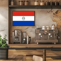 Paraguay Flag Emblem Artistry Country Flag Poster PosterGoat