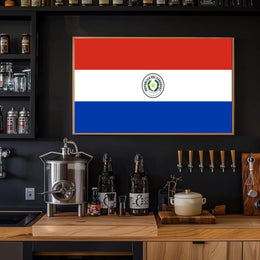 Paraguay Flag Emblem Artistry Country Flag Poster PosterGoat