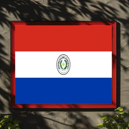 Paraguay Flag Emblem Artistry Country Flag Poster PosterGoat