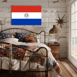 Paraguay Flag Emblem Artistry Country Flag Poster PosterGoat