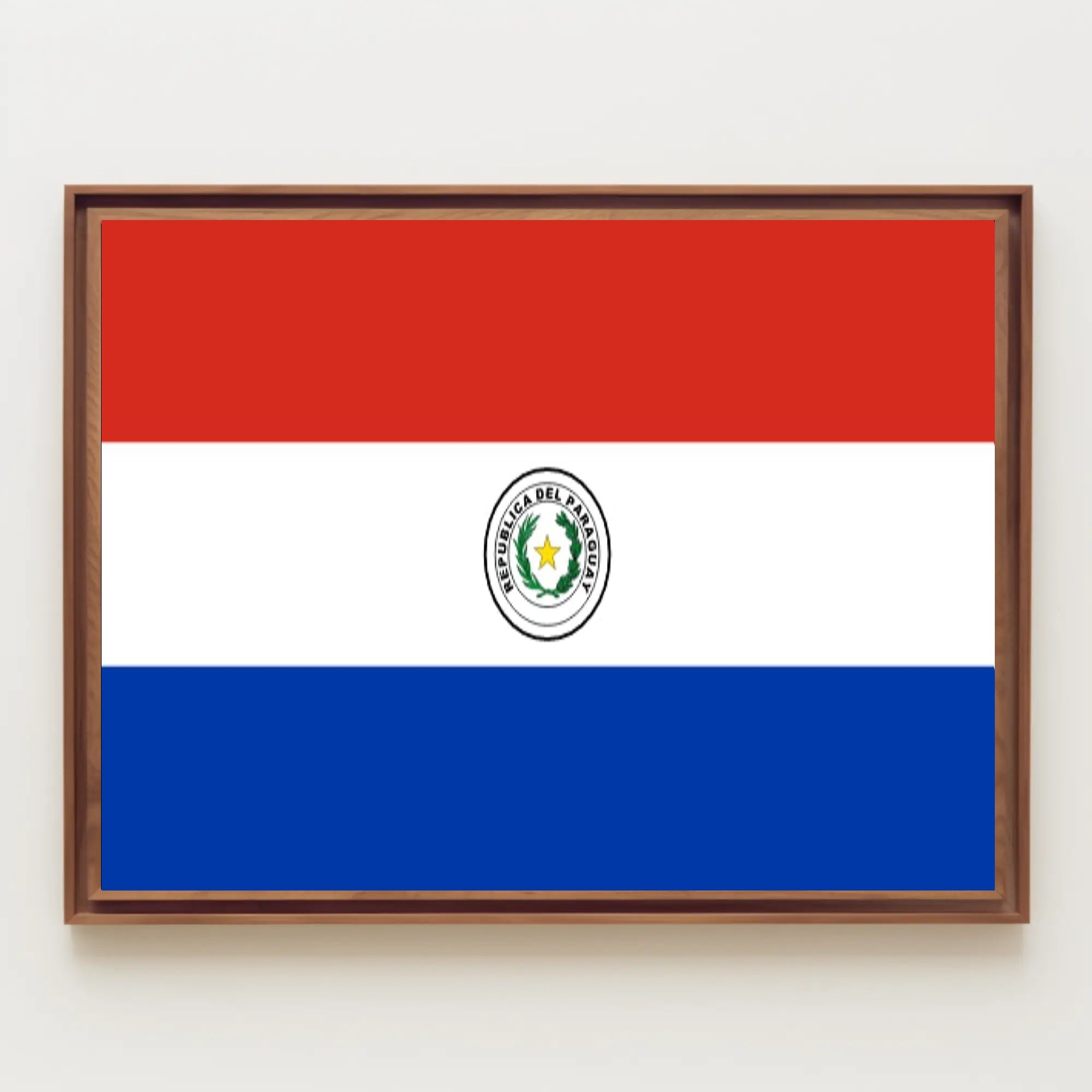 Paraguay Flag Emblem Artistry Country Flag Poster PosterGoat