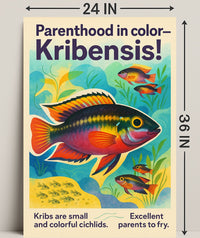 Parenthood in Color Kribensis Poster PosterGoat