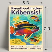Parenthood in Color Kribensis Poster PosterGoat