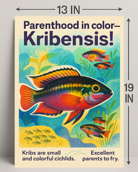 Parenthood in Color Kribensis Poster PosterGoat