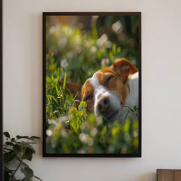 Peaceful Dog in Meadow Scene - Animal Poster PosterGoat