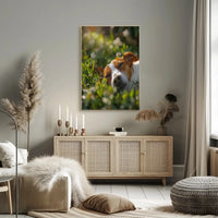 Peaceful Dog in Meadow Scene - Animal Poster PosterGoat