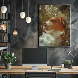 Peaceful Jack Russell Terrier in Sunlit Spring Animal Poster PosterGoat