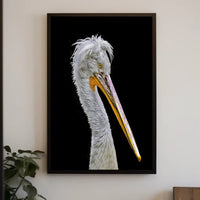 Pelican's Majesty: Photorealistic Wildlife Animal Poster PosterGoat