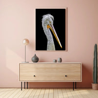 Pelican's Majesty: Photorealistic Wildlife Animal Poster PosterGoat