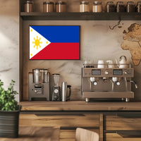 Philippines Flag Detailed Design Country Flag Poster PosterGoat