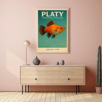Platy Aquatic Life Poster PosterGoat