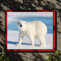 Polar Bear in Icy Blue: An Elegant Animal Poster PosterGoat