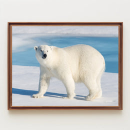Polar Bear in Icy Blue: An Elegant Animal Poster PosterGoat