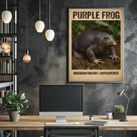 Purple Frog Wildlife Educational Animal Poster PosterGoat