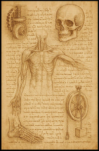 Renaissance Era Anatomy and Mechanics Educational or Infographic Poster PosterGoat