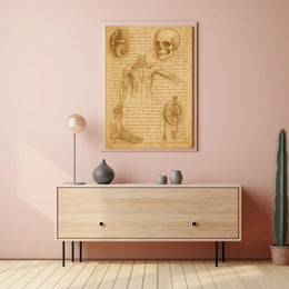 Renaissance Era Anatomy and Mechanics Educational or Infographic Poster PosterGoat