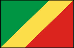 Republic of the Congo Flag Country Flag Poster PosterGoat