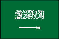 Saudi Arabian Flag Poster Symbolizing National Pride PosterGoat