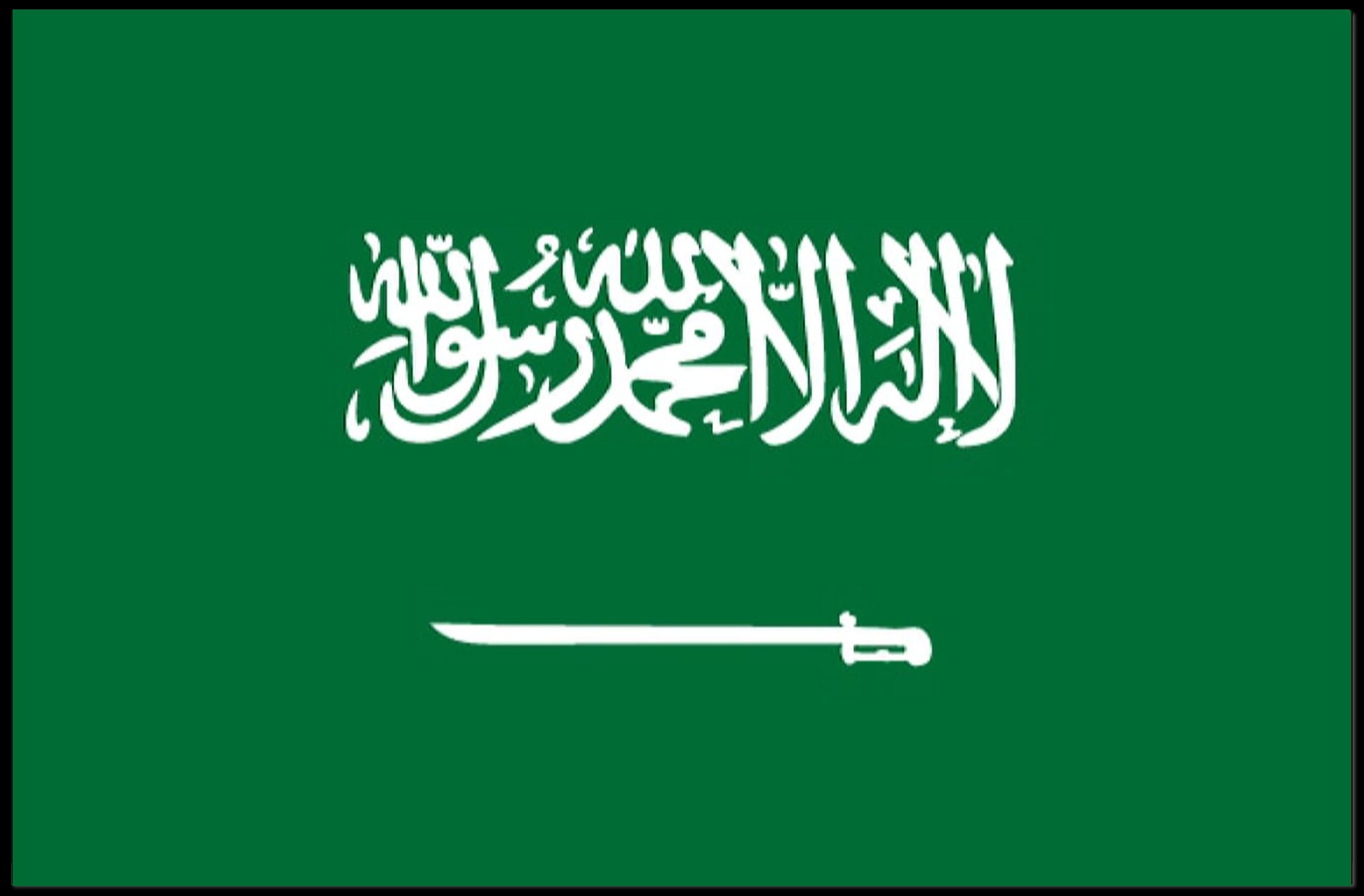 Saudi Arabian Flag Poster Symbolizing National Pride PosterGoat