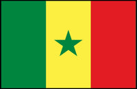 Senegal National Flag Decorative Art Country Flag Poster PosterGoat