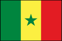 Senegal National Flag Decorative Art Country Flag Poster PosterGoat