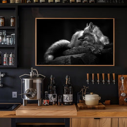Serene Black and White Fox Resting Animal Poster PosterGoat